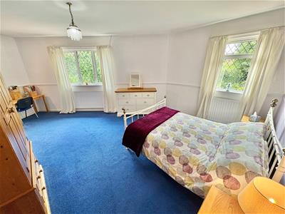 Picture 19
